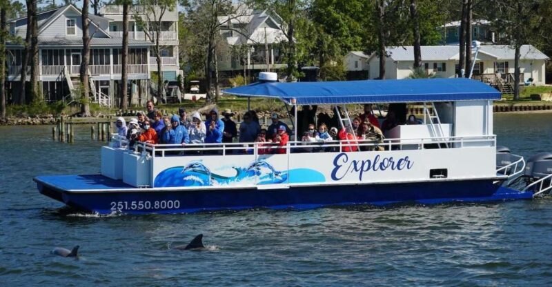 Orange Beach: Dolphin-Watching Eco-Boat Tour - How the Dolphin-Watching Eco-Boat Tour Operates in Orange Beach