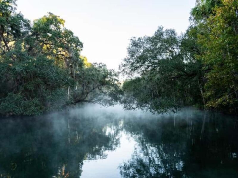 Orange City: Blue Spring State Park St. Johns River Cruise - Key Points