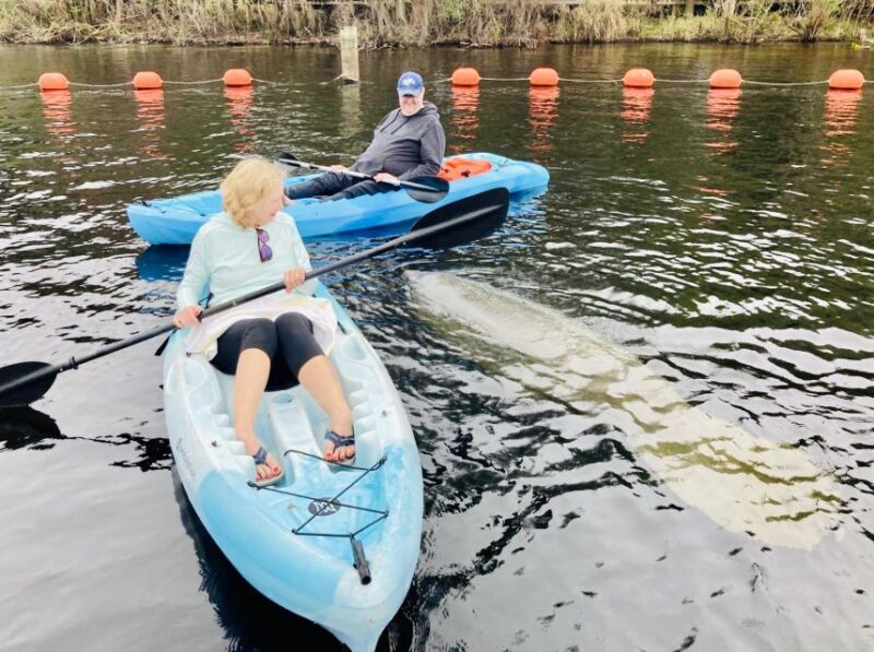 Orange City: Blue Spring State Park SUP & Kayaking Tour - Explore Blue Spring State Park’s Scenic Waters by Kayak or SUP for $65