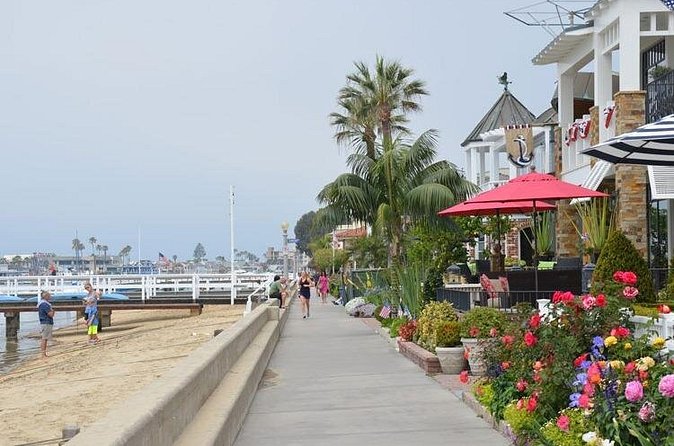 Orange County Beaches Full Day Private Tour - Who Will Appreciate This Tour?