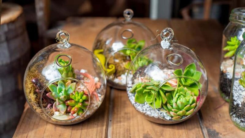 Orange County: Flower Decorating Classes - Discover Orange County’s Creative Flower Decorating Experience for $99