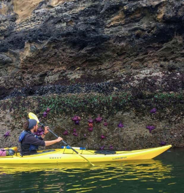 Orcas Island: Wildlife Spotting Kayak Tour - Explore Orcas Island’s Wild North Shore by Kayak for a Unique Wildlife Adventure