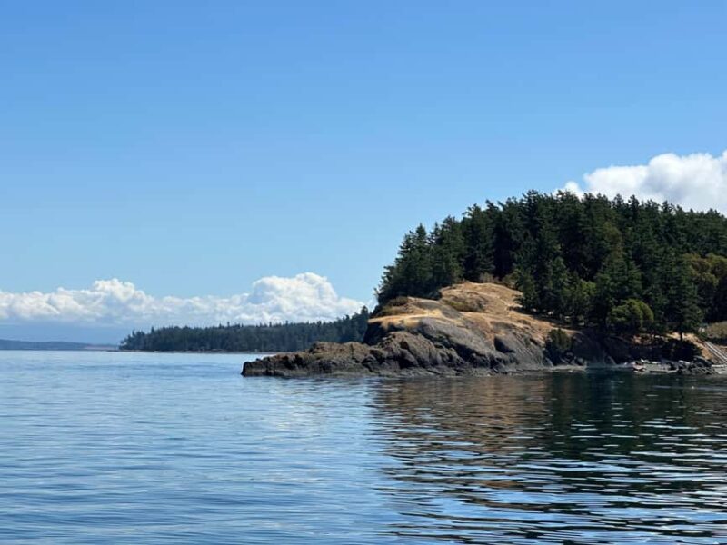 Orcas Island: Wildlife Spotting Kayak Tour - Key Points