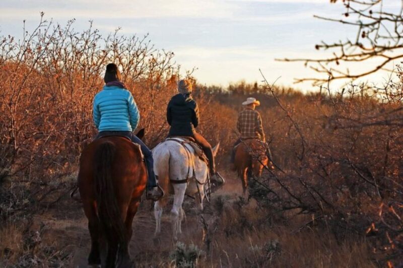 Orderville: Checkerboard Evening Shadow Horseback Ride - The Unique Setting of Zions Eastern Trails