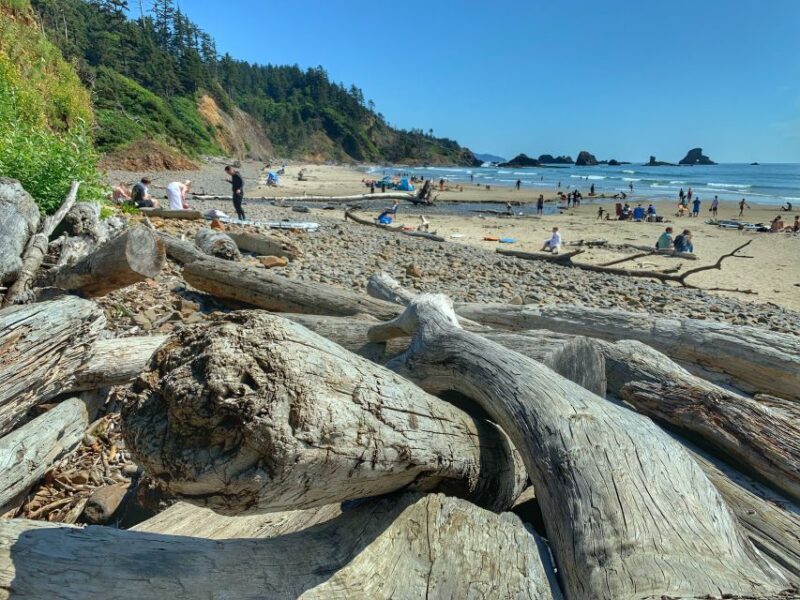 Oregon Coast Day Tour: Cannon Beach and Haystack Rock - Who Would Enjoy This Oregon Coast Tour Most