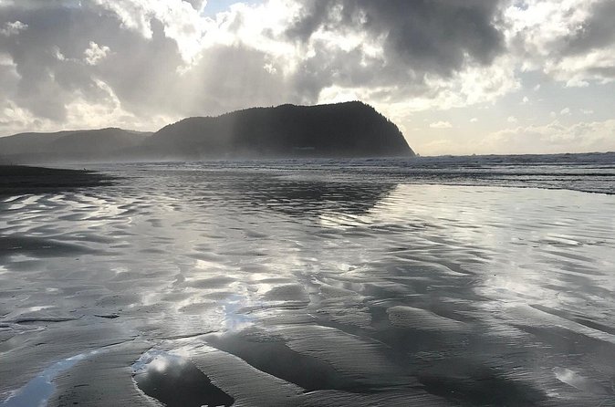 Oregon Coast Scenic Day Tour - Coastal Nature Walks and Wildlife Viewing