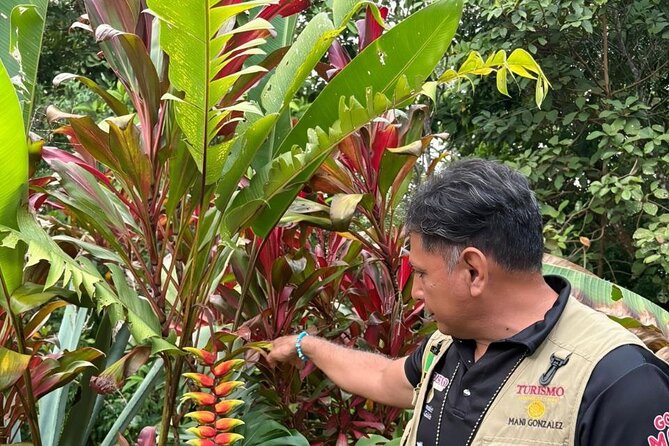 Organic Coffee Tour in the Sierra de Pluma Hidalgo - Key Points