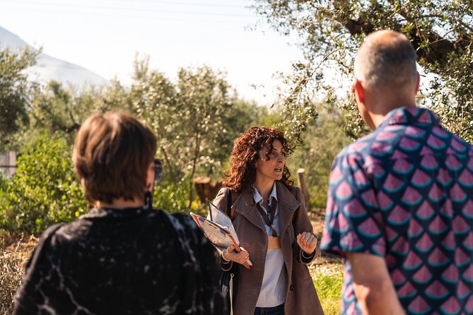 Organic Olive Grove tour & Olive oil tasting & lunch in Kalamata! - Exploring the Certified Olive Oil Mill