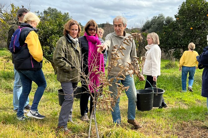 Organic Orange Picking & Jam Making with Farm-to-Table Lunch - Farm-to-Table Lunch of Traditional Portuguese Dishes