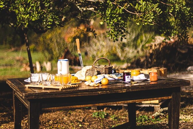 Organic Orange Picking & Jam Making with Farm-to-Table Lunch - Visiting the Historic House and Odelouca Village