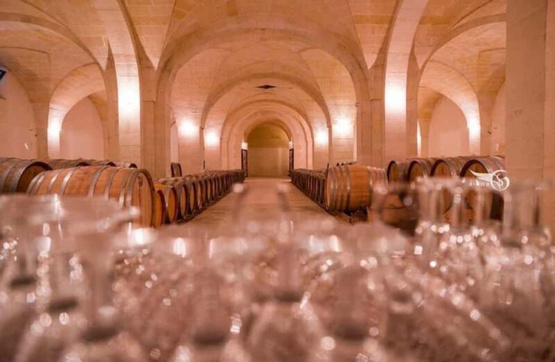 Organic Wine and Olive Oil Tasting Experience near Lecce - Key Points