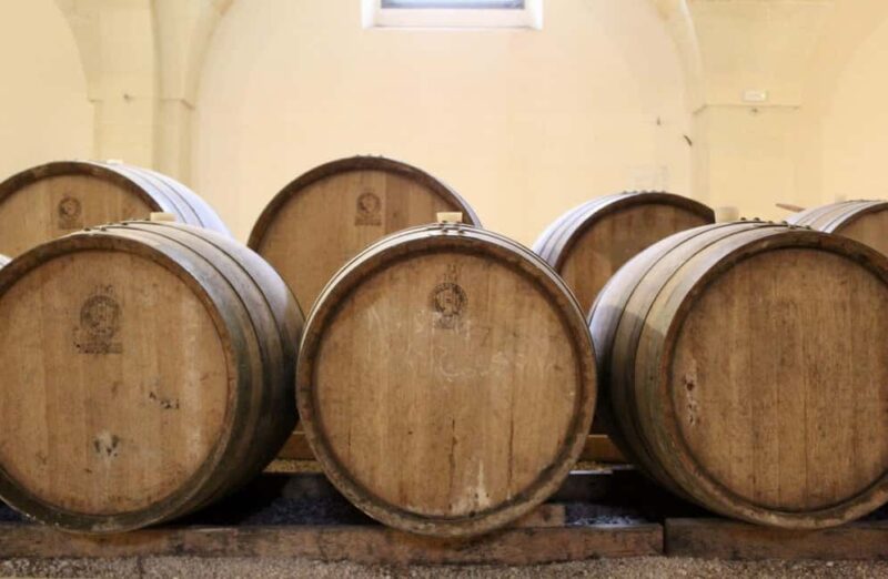 Organic Wine and Olive Oil Tasting Experience near Lecce - The Duration, Group Size, and Accessibility