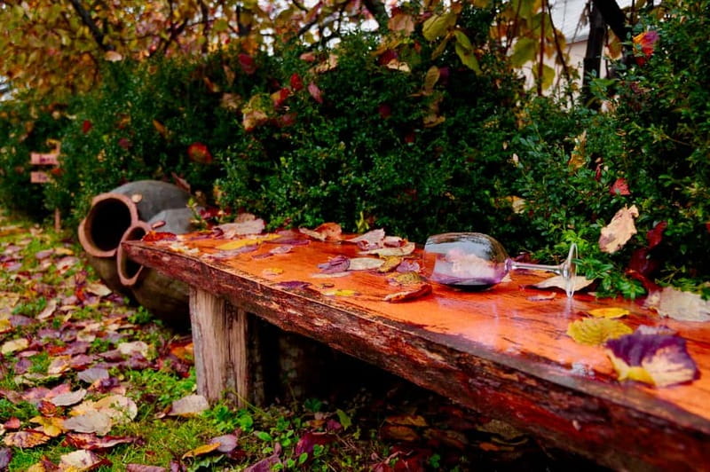 Organic Wine Full Day Private Tour With Tastings and Lunch - Key Points