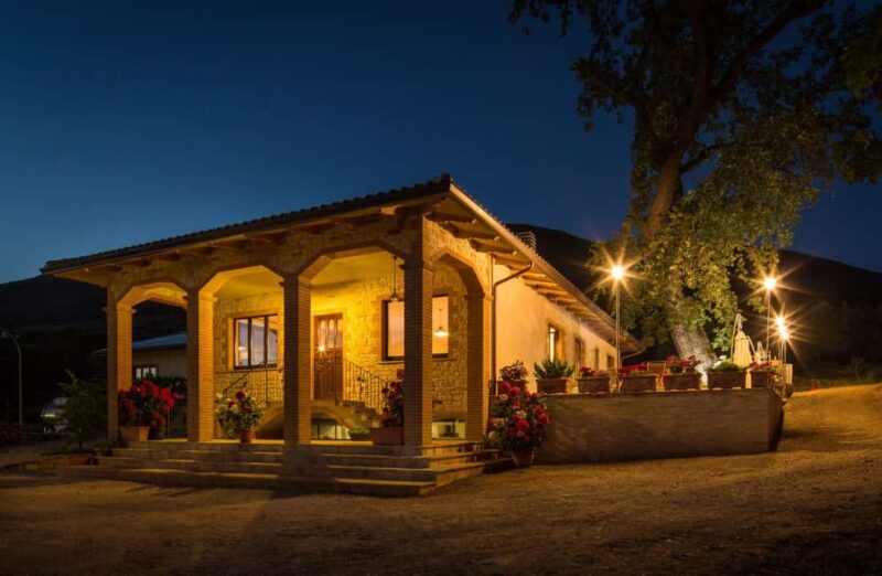 Organic Wine, Local Food Tasting & Vineyard Walk near Assisi - Guided Tour of Cantina Tili Vini Bio