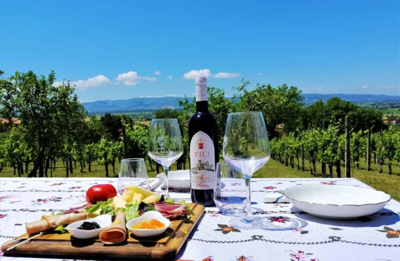 Organic Wine, Local Food Tasting & Vineyard Walk near Assisi - Tasting of Organic Wines and Local Foods