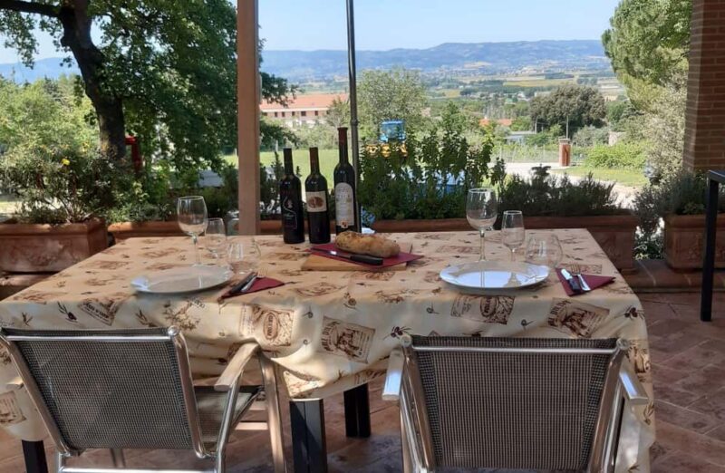 Organic Wine, Local Food Tasting & Vineyard Walk near Assisi - Comparison to Similar Experiences