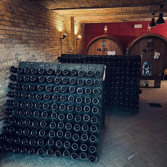 Organic Wine Tasting at Cantamessa Wines - Tasting the Most Representative Wines