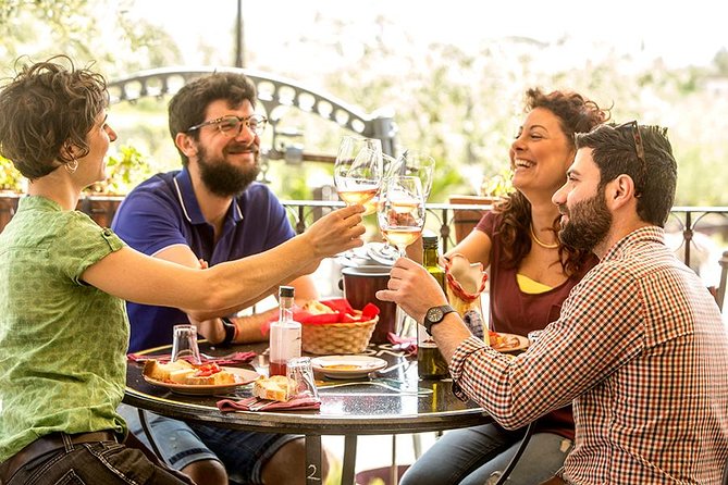 Organic Wine Tasting & Lunch Experience on Mt Vesuvius - Start at Cantina del Vesuvio with Stunning Vesuvius Views