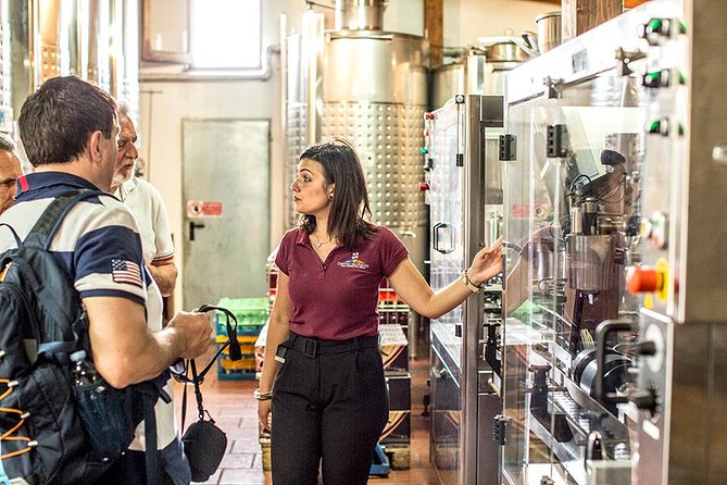 Organic Wine Tasting & Lunch Experience on Mt Vesuvius - What Sets This Tour Apart from Others