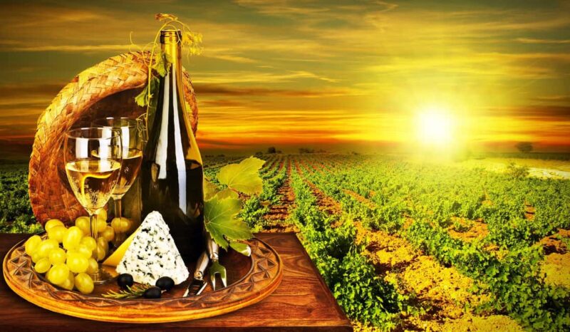 Organic Wine Tasting with Saint paul Half Day Tour from Nice - Authentic Organic Wine Tasting in the South of France for $76