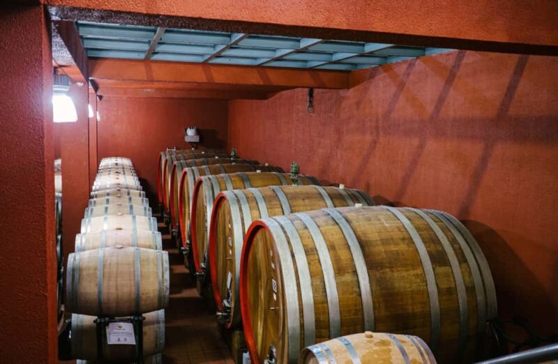 Organic Winery Tour, Wine Tasting & Light Lunch near Ragusa - Visiting the Historic Estate and Ancient Convent