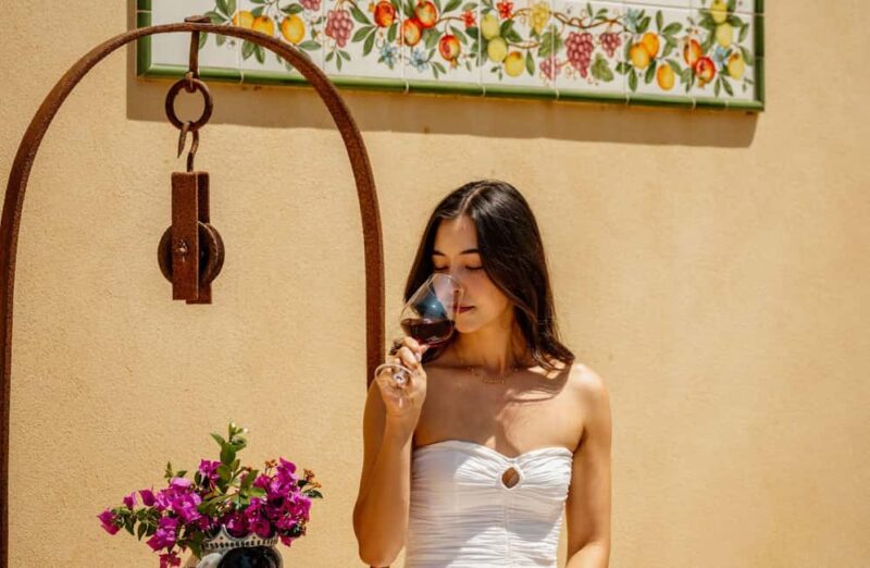 Organic Winery Tour, Wine Tasting & Light Lunch near Ragusa - Logistics and Accessibility Details