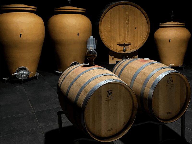 Organic Winery Visit near Turin with Wine & Food Tasting - Key Points