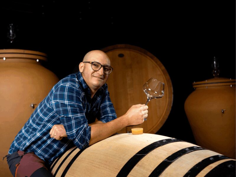 Organic Winery Visit near Turin with Wine & Food Tasting - Inside the Winery: A Blend of Tradition and Innovation