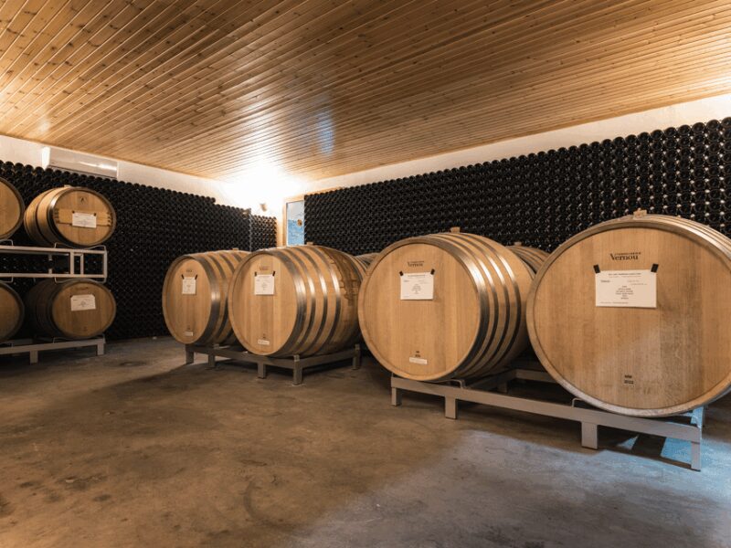 Organic Winery Visit & Wine Tasting with Food in Pavia - Practical Details and Accessibility