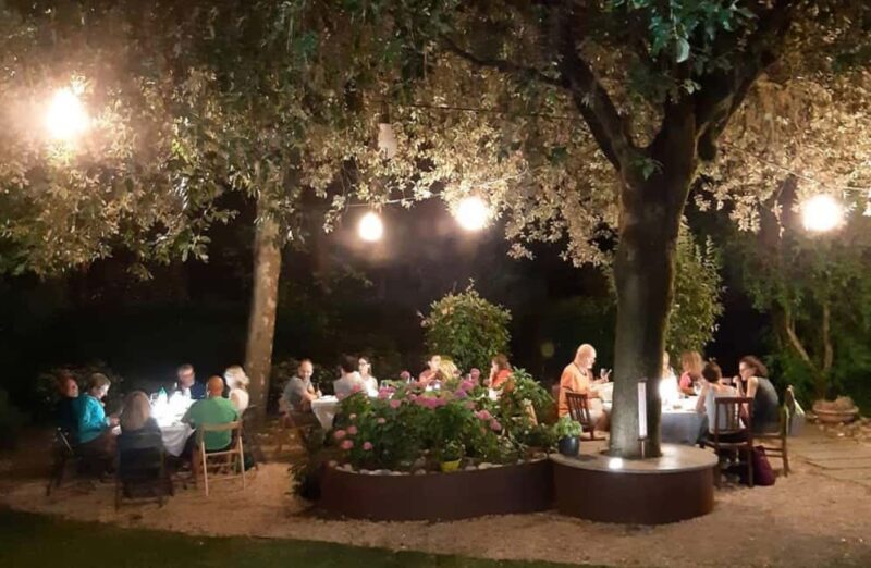 Organic Winery Visit with Wine & Food Tasting in Bologna - Touring the Winery’s Facilities: Cellar and Fermentation Room