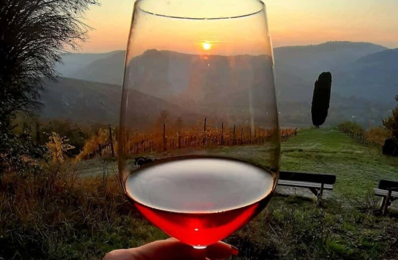 Organic Winery Visit with Wine & Food Tasting in Bologna - Family-Friendly Atmosphere and Child Participation