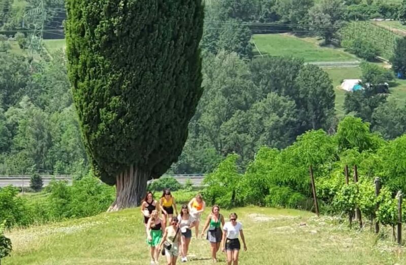 Organic Winery Visit with Wine & Food Tasting in Bologna - Price and Booking Flexibility