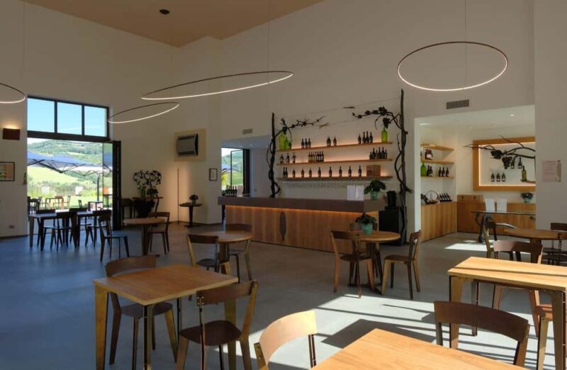 Organic Winery Visit with Wine & Food Tasting in Bologna - Final Thoughts: A Flavorful Introduction to Bologna’s Organic Wines