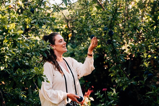 Organic Wood-fire Cooking Class - What the Cooking Class Includes: Details and Value