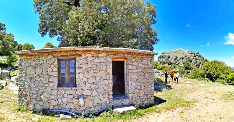 Orgosolo Experience: Murals and Culture with a typical Lunch - Tour of Orgosolo’s Murals and Historic Center