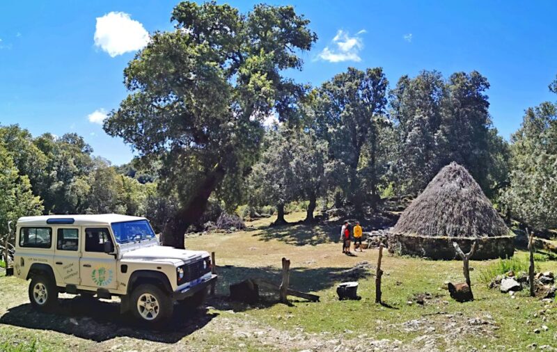 Orgosolo Experience: Murals and Culture with a typical Lunch - Practical Details and Considerations