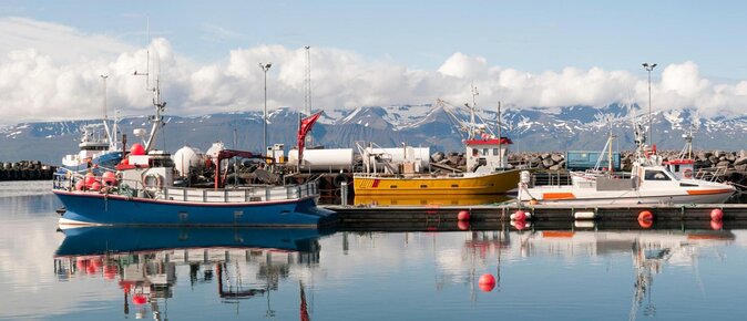 Original Big Whale Safari & Puffins Speedboat Tour from Húsavík - Discover Iceland’s Marine Wildlife on a Speedboat Adventure from Húsavík