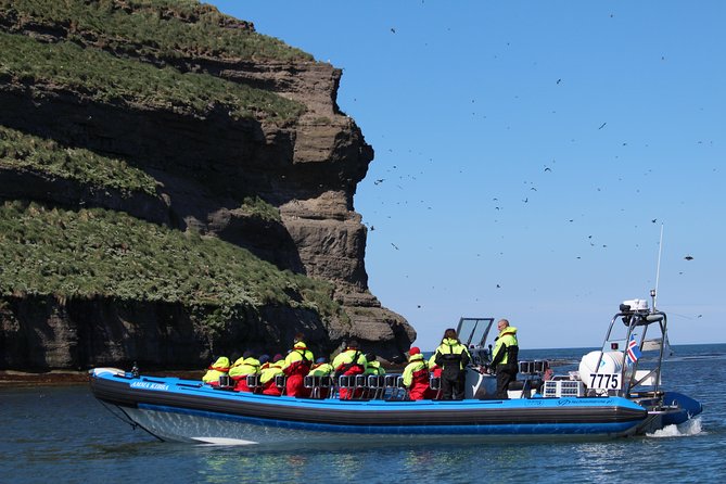 Original Big Whale Safari & Puffins Speedboat Tour from Húsavík - Additional Benefits and Customer Service
