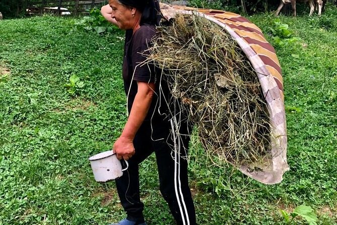 Original Carpathian Village Experience and Sinaia in one day tour - Visiting Paltinu Dam and Lake for Natural Beauty