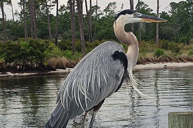 Original CRUISIN TIKIS 90 min Cruise - Grand Lagoon - Practical Tips for a Great Cruise