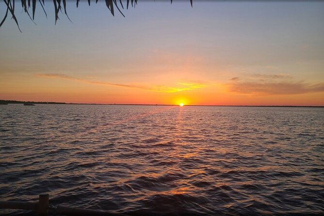 Original Cruisin Tikis Harbor Lights Cruise - Food, Drinks, and Customization