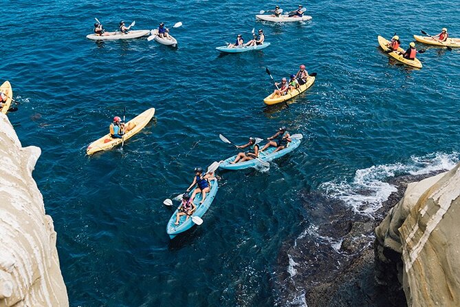 Original La Jolla Sea Cave Kayak Tour for Two - La Jolla’s Ecological Reserve: The Main Setting