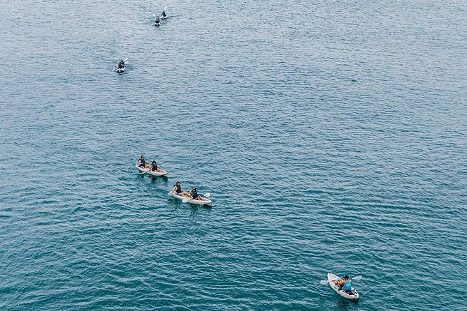 Original La Jolla Sea Cave Kayak Tour for Two - Equipment and Comfort for the Kayaking Experience