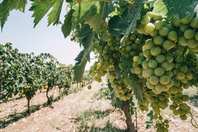 Origins - Meeting Point and Start Time Details