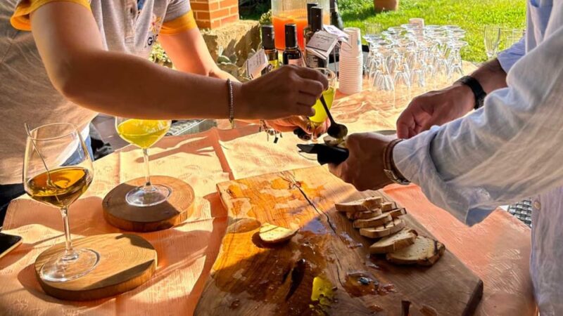 Oristano: visit a farm with oil tasting - Recognizing and Differentiating Olive Oils by Organoleptic Analysis