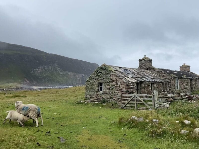 Orkney: Private Tour with Local Guide - Who Will Enjoy This Private Tour?