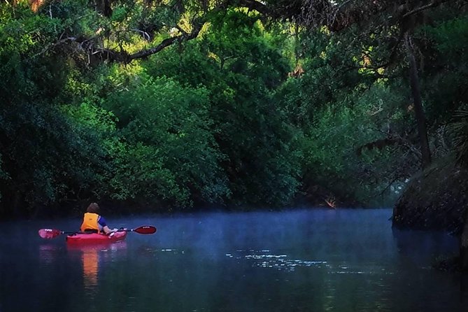 Orlando Alligator Experience - Discover the Orlando Alligator Experience: A Guided Kayaking Adventure for Wildlife Enthusiasts