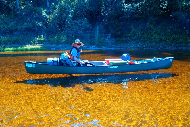 Orlando Alligator Experience - What the Tour Includes: Equipment, Guide, and Lunch