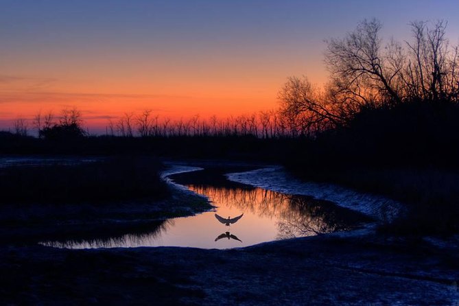 Orlando Alligator Experience - Accessibility and Physical Requirements