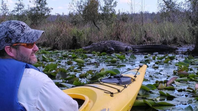 Orlando Alligator Experience: Day-Trip From Orlando - Key Points